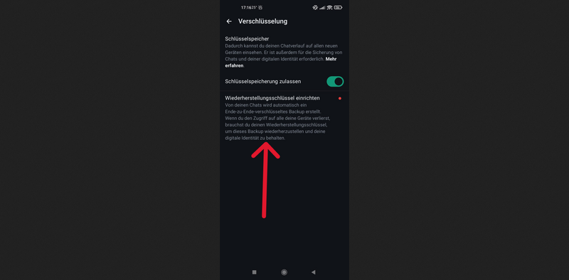 Datei:Einstellung - Verschlüsselung.png